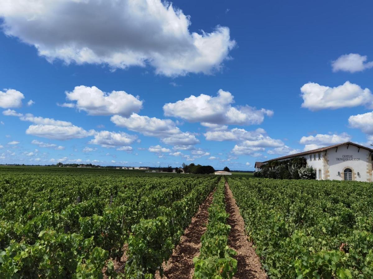 サン・テステフ Au Coeur Des Vignobles Bed & Breakfast エクステリア 写真